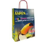 Aspen Forest Twist Handled Kraft Paper Lunch Bag