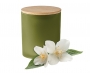 Tranquillity Plant Based Wax Candles - Green