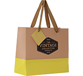 Corporate branded Riviera Matt Laminated Paper Gift Bags in a range of colour options