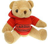 20cm Jointed Honey Bear With Hoodie