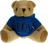 25cm Jointed Honey Bear With Hoodie