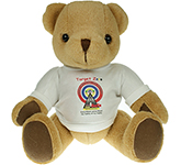 30cm Jointed Honey Bear With T-Shirt
