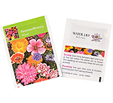 Seed Packets - Summer Flowers