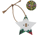 Custom printed Grow Me Seeded Xmas Star Decorations at GoPromotional