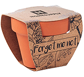 Forget Me Not Terracotta Pot