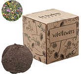 Wildflower Seed Bomb Growing Kit