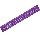 30cm Plastic Ruler
