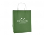 Brookvale Medium Twist Handled Recyclable Paper Bags - Green