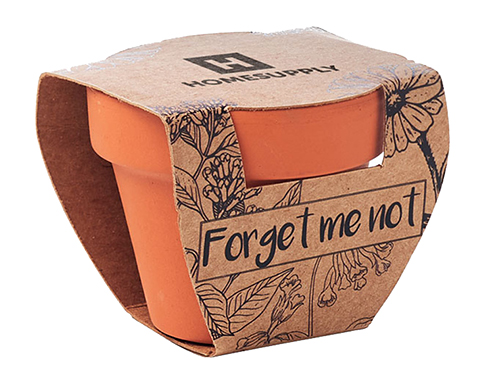 Forget Me Not Terracotta Pots