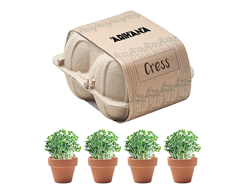 Egg Box Cress Growing Kits