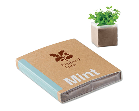 Mint Seed Growing Kits