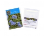 Seed Packets - Forget Me Nots