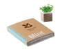 Mint Seed Growing Kits
