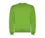 Roly Classica Kids Crew Neck Sweatshirts - Oasis Green