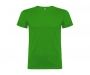 Roly Beagle Kids T-Shirts - Grass Green