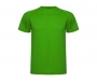 Roly Montecarlo Performance T-Shirts - Fern Green