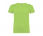 Roly Beagle T-Shirts - Lime Green
