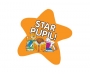 Star Shaped Paper Stickers - White