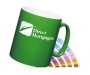 Durham ColourCoat Ceramic Mugs - Green